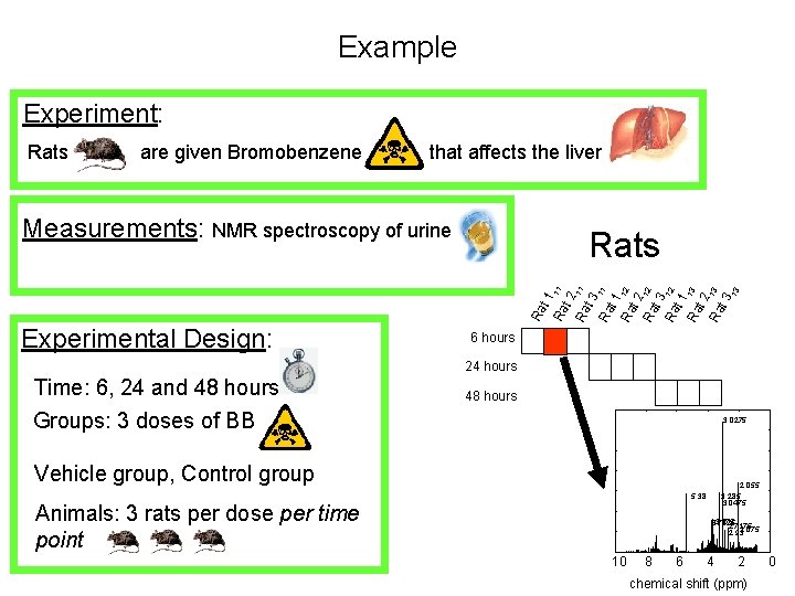Example Experiment: Rats are given Bromobenzene that affects the liver Measurements: NMR spectroscopy of