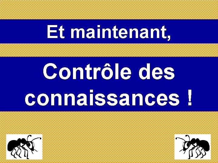 Et maintenant, Contrôle des connaissances ! 