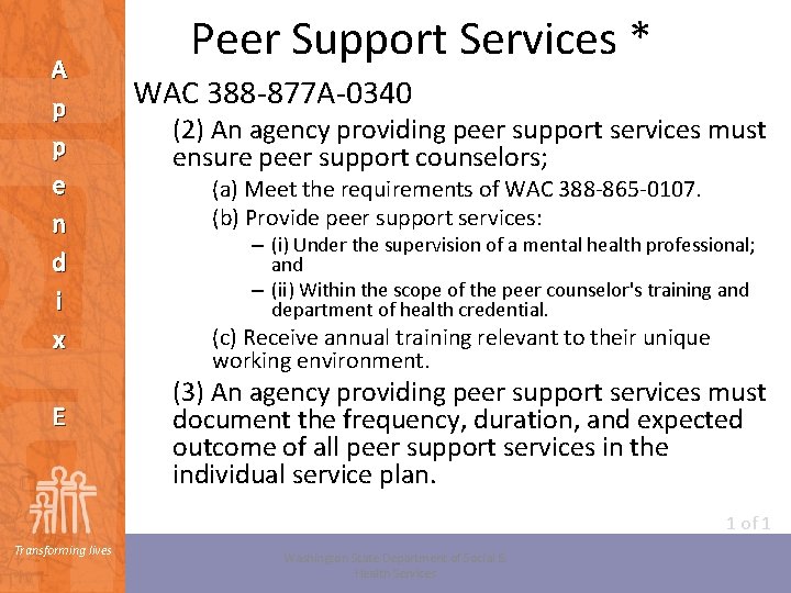 A p p e n d i x E Peer Support Services * WAC