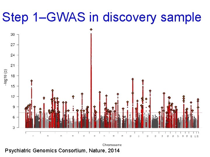 Step 1–GWAS in discovery sample Psychiatric Genomics Consortium, Nature, 2014 