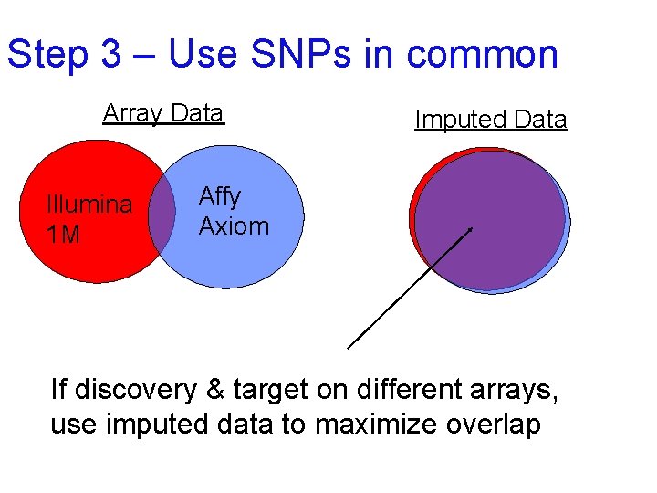 Step 3 – Use SNPs in common Array Data Illumina 1 M Imputed Data