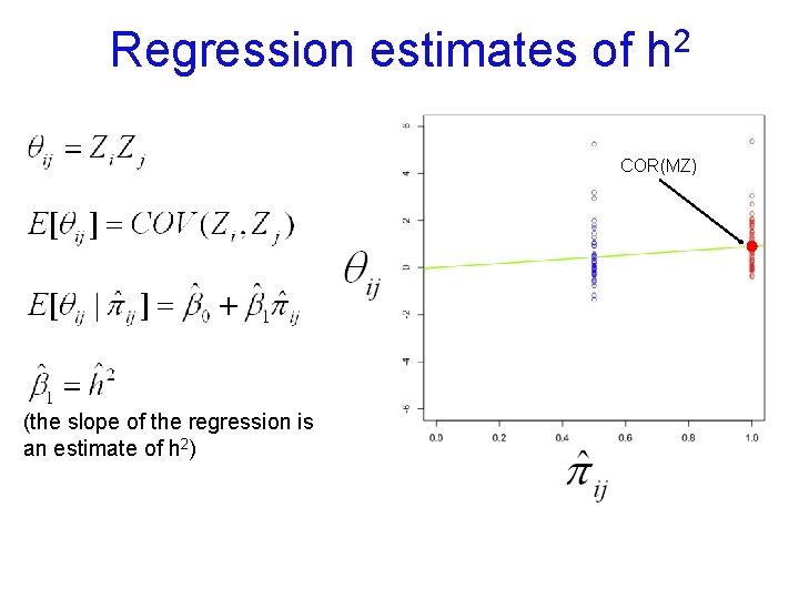 Regression estimates of 2 h COR(MZ) (the slope of the regression is an estimate
