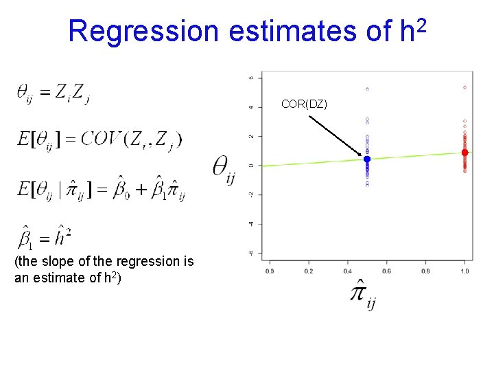 Regression estimates of COR(DZ) (the slope of the regression is an estimate of h