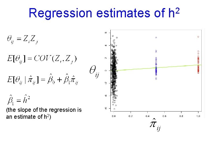 Regression estimates of (the slope of the regression is an estimate of h 2)