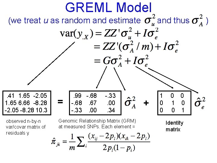 GREML Model (we treat u as random and estimate . 41 1. 65 -2.