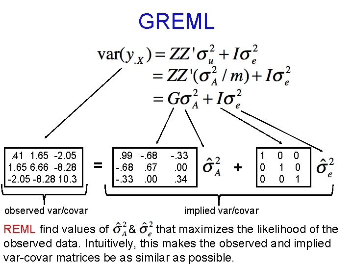 GREML . 41 1. 65 -2. 05 1. 65 6. 66 -8. 28 -2.
