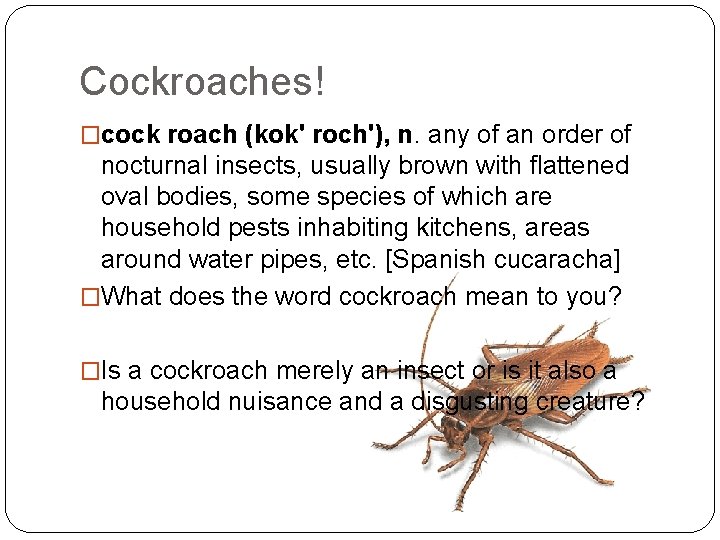 Cockroaches! �cock roach (kok' roch'), n. any of an order of nocturnal insects, usually