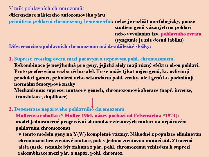 Vznik pohlavních chromozomů: diferenciace některého autozomového páru primitivní pohlavní chromozomy homomorfní: nelze je rozlišit