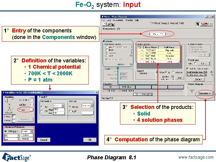 Fe-O 2 system: input 1° Entry of the components (done in the Components window)