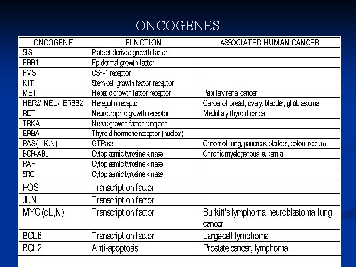 ONCOGENES 