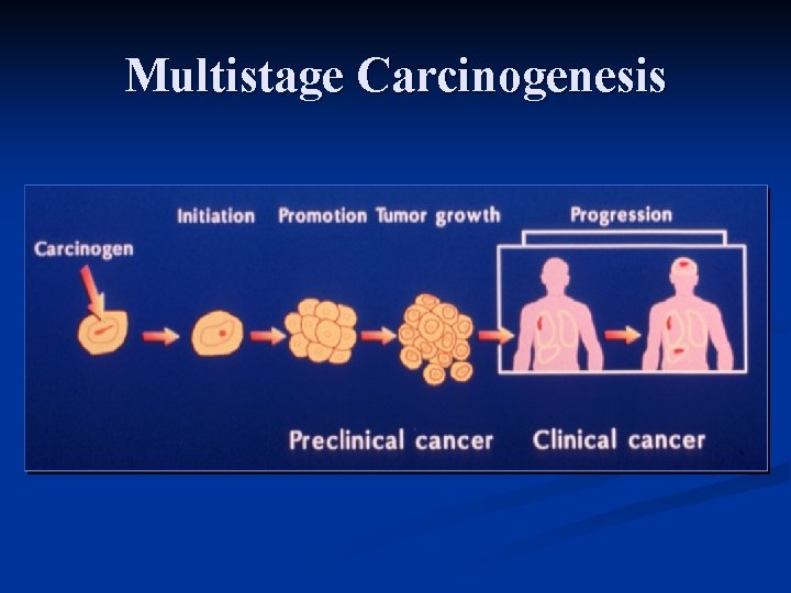 Multistage Carcinogenesis 