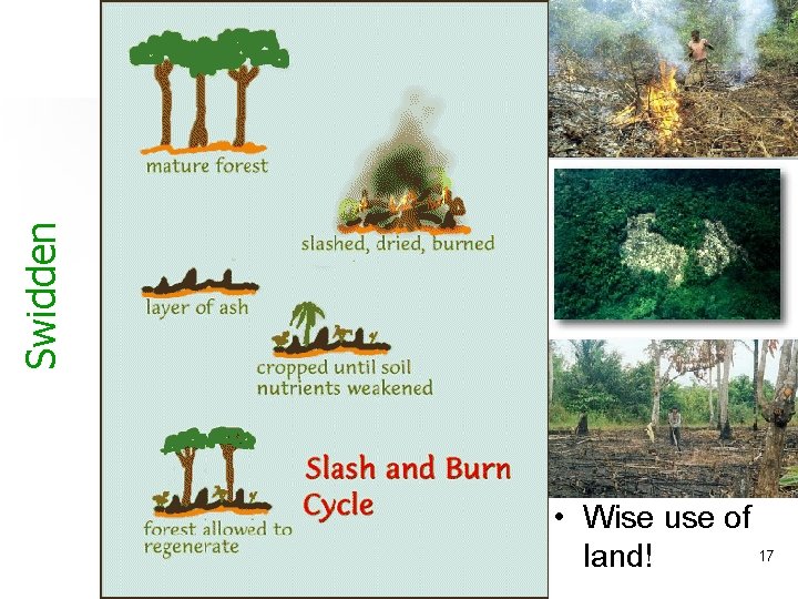 Swidden • Wise use of 17 land! 