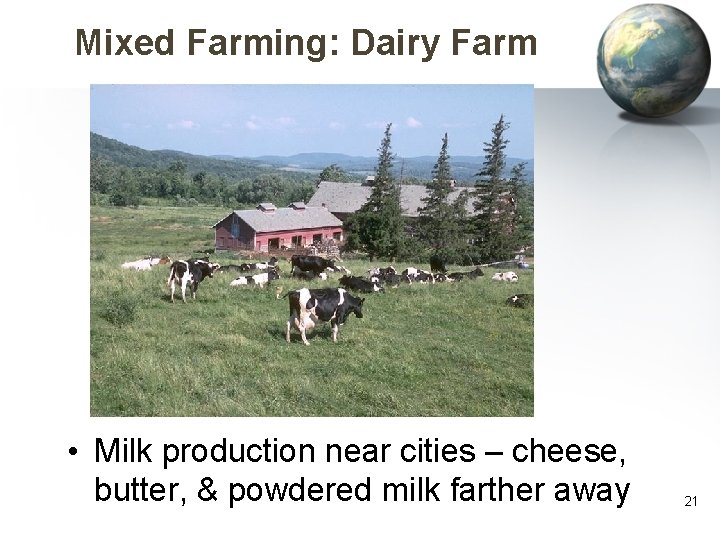 Mixed Farming: Dairy Farm • Milk production near cities – cheese, butter, & powdered