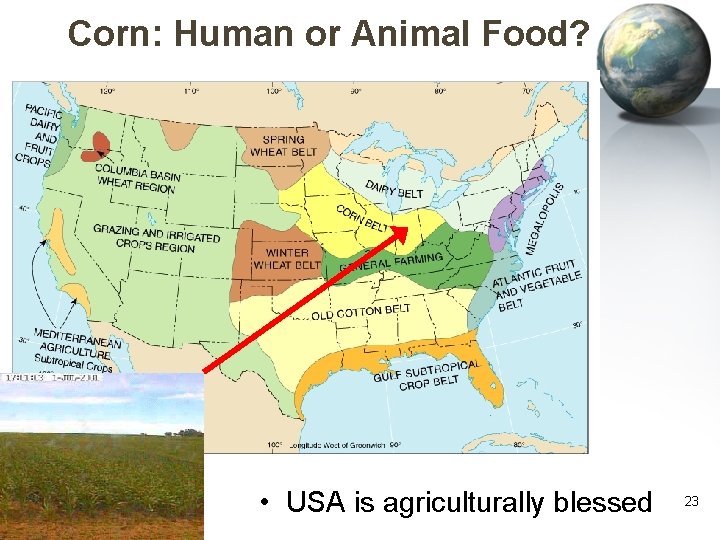 Corn: Human or Animal Food? • USA is agriculturally blessed 23 