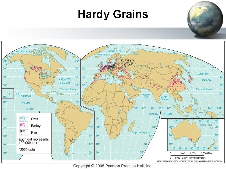 Hardy Grains 