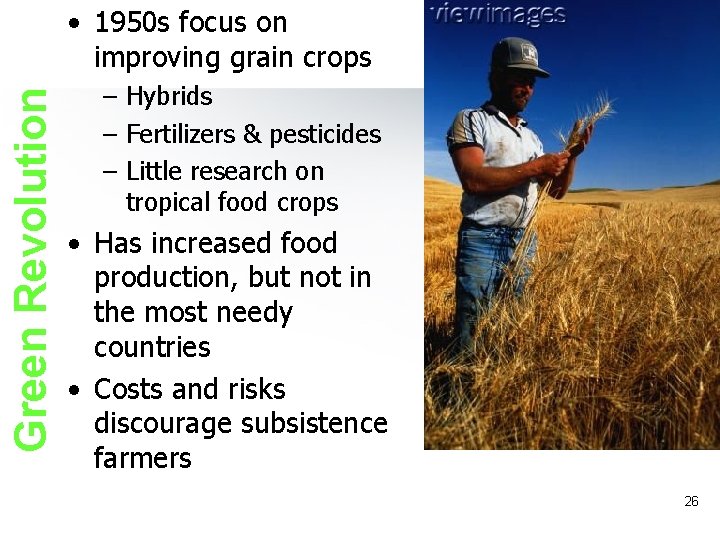 Green Revolution • 1950 s focus on improving grain crops – Hybrids – Fertilizers