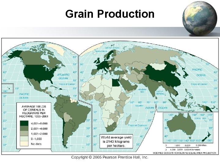 Grain Production 