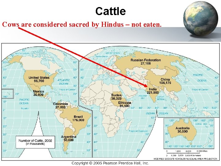 Cattle Cows are considered sacred by Hindus – not eaten. 