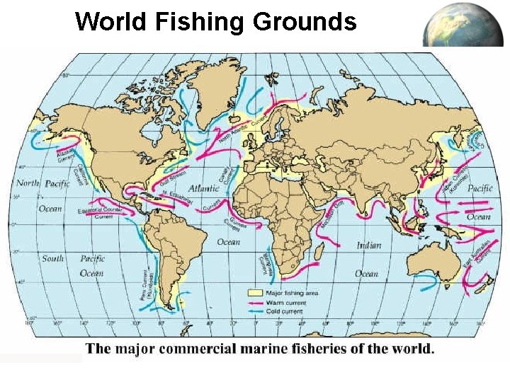 World Fishing Grounds 