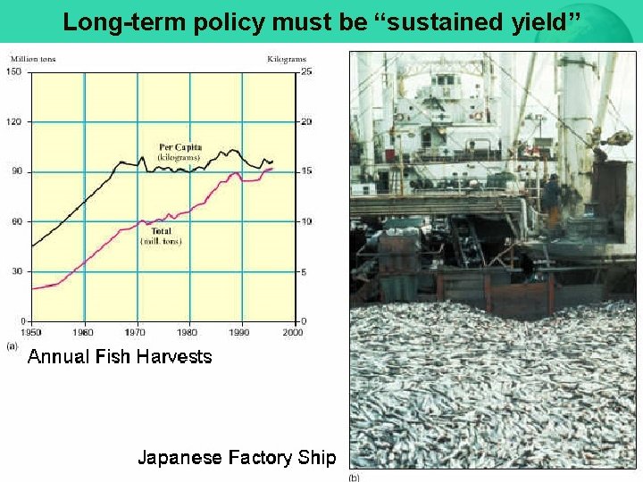 Long-term policy must be “sustained yield” 59 