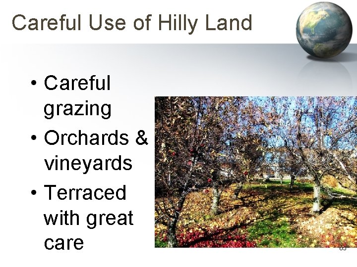 Careful Use of Hilly Land • Careful grazing • Orchards & vineyards • Terraced