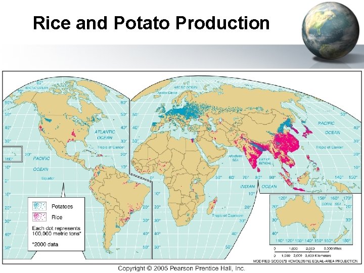 Rice and Potato Production 
