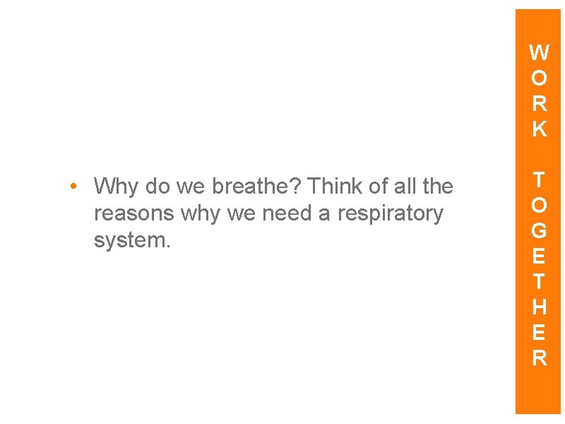 W O R K • Why do we breathe? Think of all the reasons W O R K • Why do we breathe? Think of all the reasons