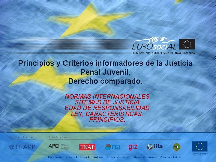 Principios y Criterios informadores de la Justicia Penal Juvenil. Derecho comparado. NORMAS INTERNACIONALES SITEMAS