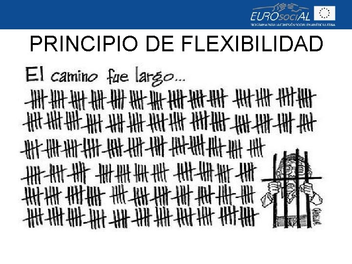 PRINCIPIO DE FLEXIBILIDAD 