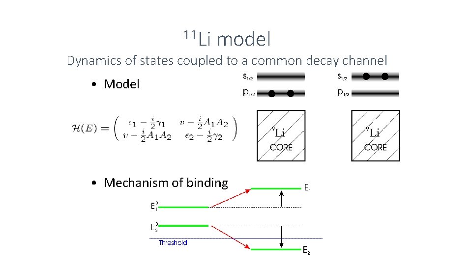 11 Li model Dynamics of states coupled to a common decay channel • Model