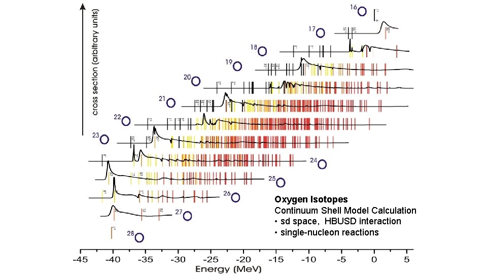 Oxygen Isotopes Continuum Shell Model Calculation • sd space, HBUSD interaction • single-nucleon reactions