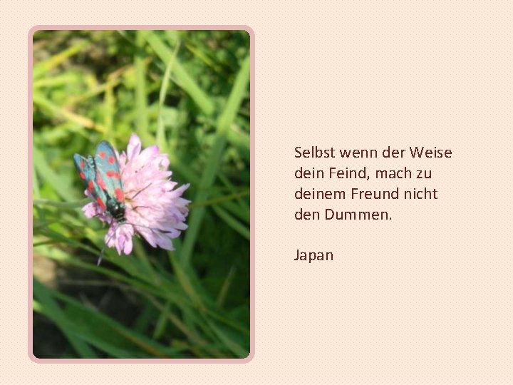 Selbst wenn der Weise dein Feind, mach zu deinem Freund nicht den Dummen. Japan