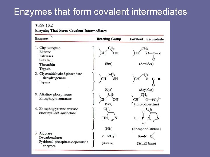 Enzymes that form covalent intermediates 