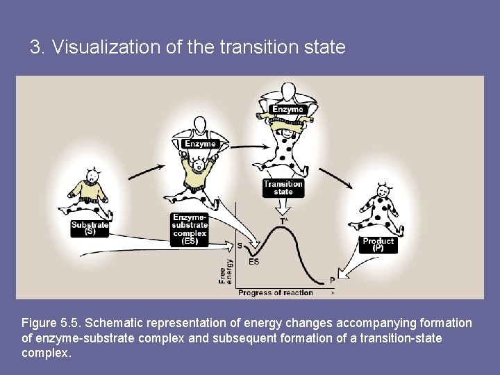 3. Visualization of the transition state Figure 5. 5. Schematic representation of energy changes