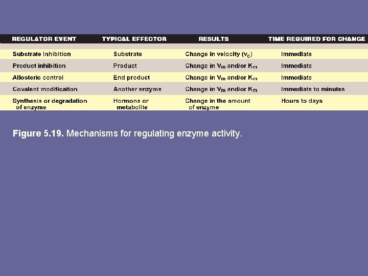 Figure 5. 19. Mechanisms for regulating enzyme activity. 