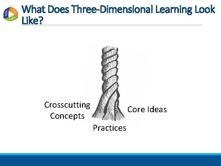 What Does Three-Dimensional Learning Look Like? Crosscutting Concepts Core Ideas Practices 