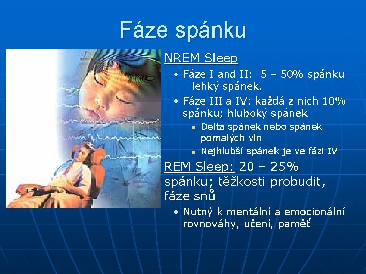 Fáze spánku n NREM Sleep • Fáze I and II: 5 – 50% spánku