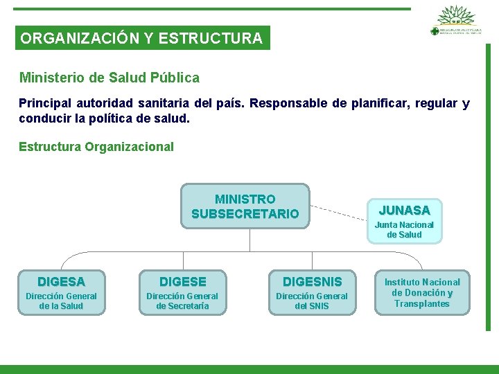 ORGANIZACIÓN Y ESTRUCTURA Ministerio de Salud Pública Principal autoridad sanitaria del país. Responsable de