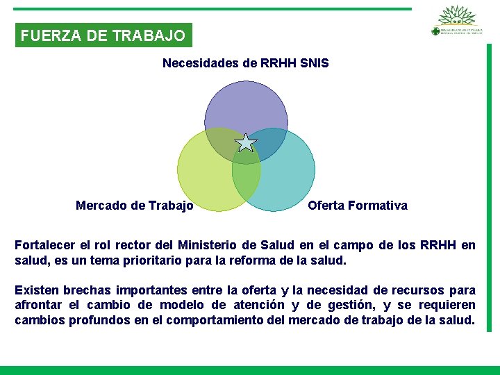 FUERZA DE TRABAJO Necesidades de RRHH SNIS Mercado de Trabajo Oferta Formativa Fortalecer el