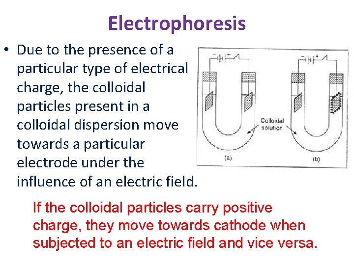 Electrophoresis • Due to the presence of a particular type of electrical charge, the