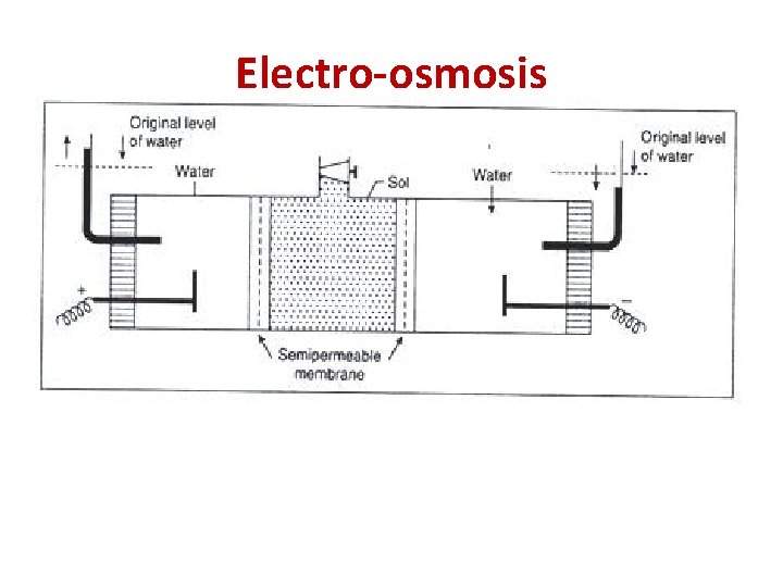 Electro-osmosis 