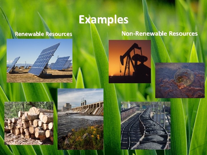 Examples Renewable Resources Non-Renewable Resources 