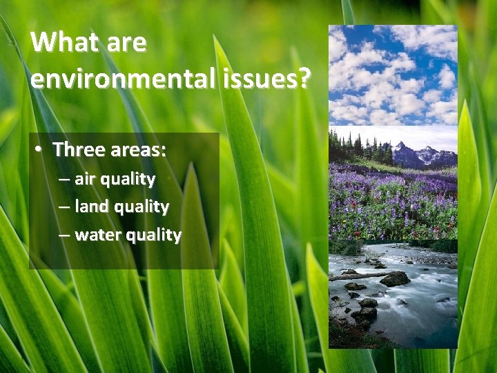 What are environmental issues? • Three areas: – air quality – land quality –