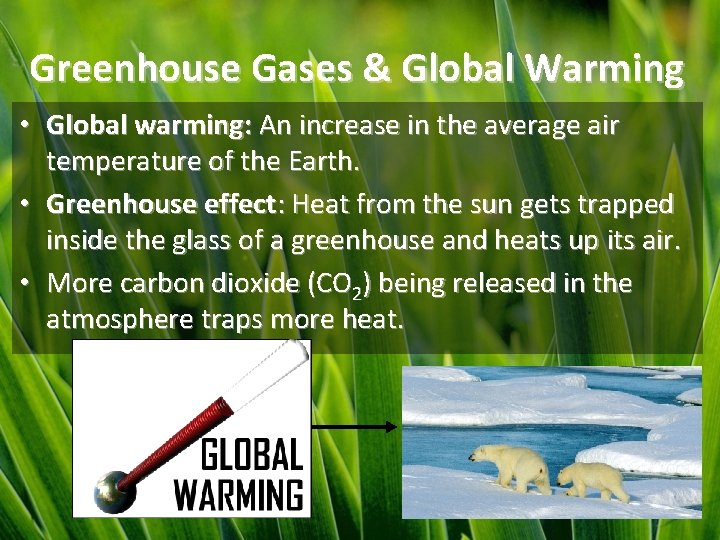 Greenhouse Gases & Global Warming • Global warming: An increase in the average air