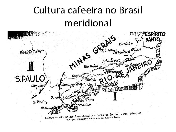 Cultura cafeeira no Brasil meridional 