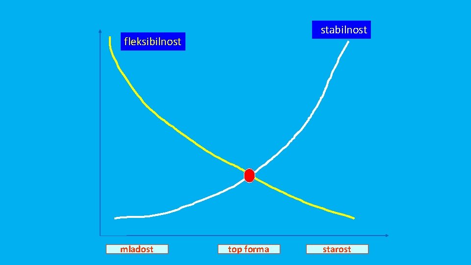 stabilnost fleksibilnost mladost top forma starost 