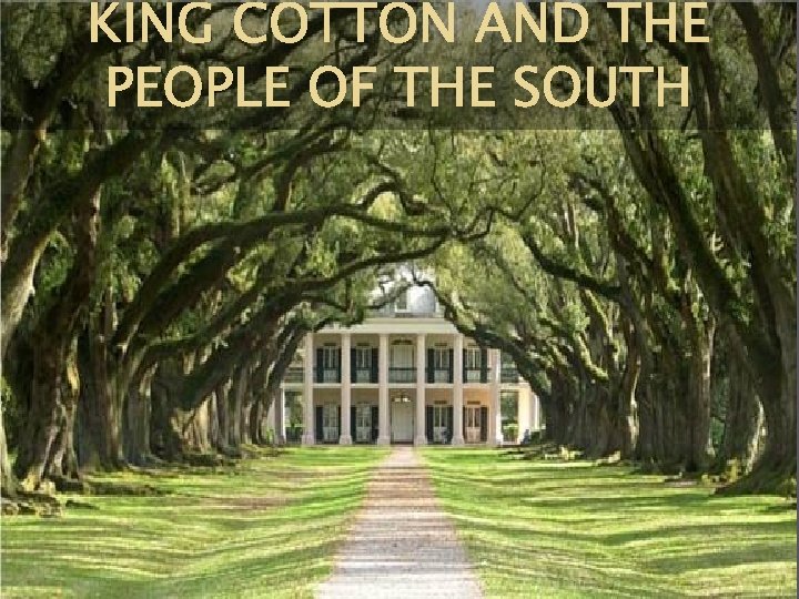 KING COTTON AND THE PEOPLE OF THE SOUTH 