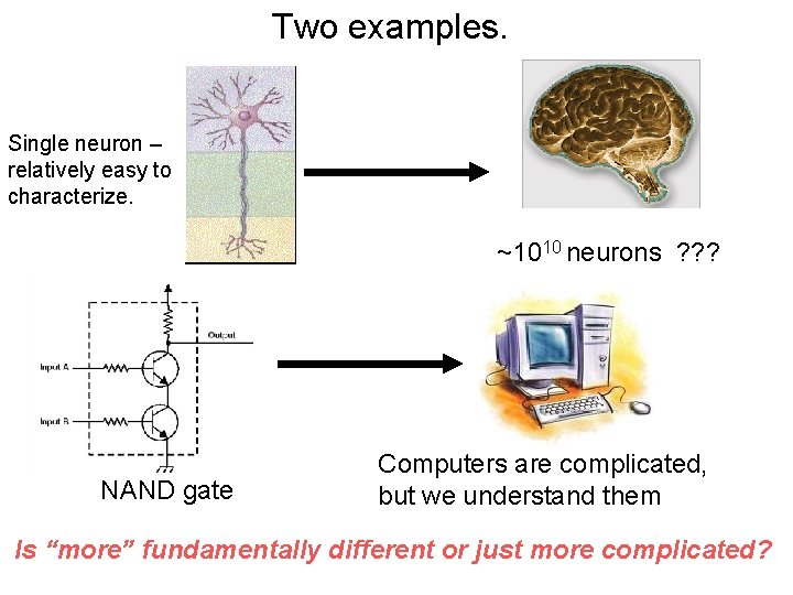 Two examples. Single neuron – relatively easy to characterize. ~1010 neurons ? ? ?