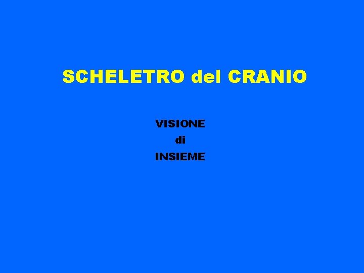 SCHELETRO del CRANIO VISIONE di INSIEME 