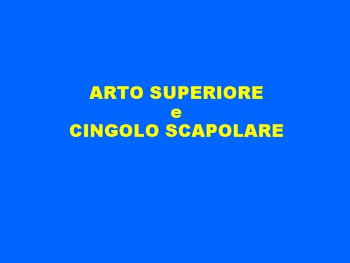 ARTO SUPERIORE e CINGOLO SCAPOLARE 